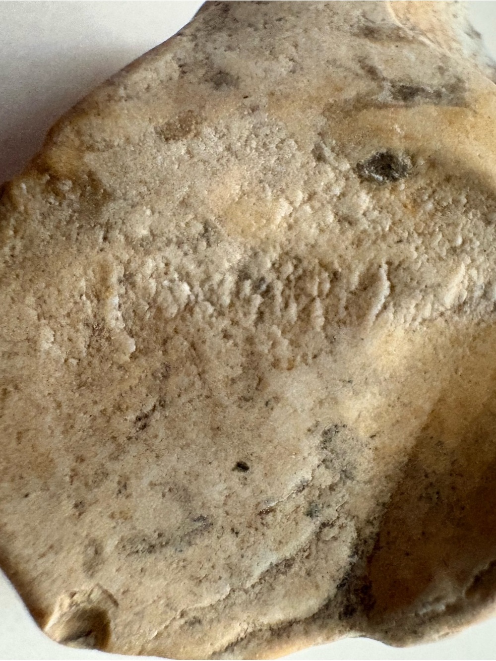 Oklahoma flint stone specimen